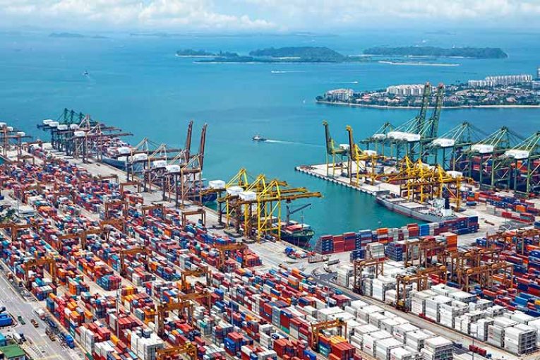 Datos de exportación durante la pandemia. Frutas y hortalizas se salvan