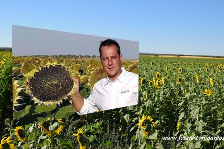 Día 29 de julio. Oleoprecisición, modernización del cultivo de oleaginosas en España