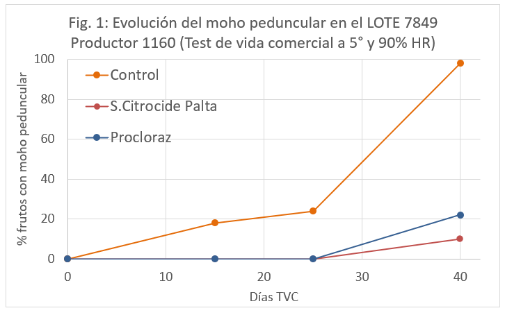 Evolución del moho peduncular con Sistema Citrocide® Palta. /joseantonioarcos.es