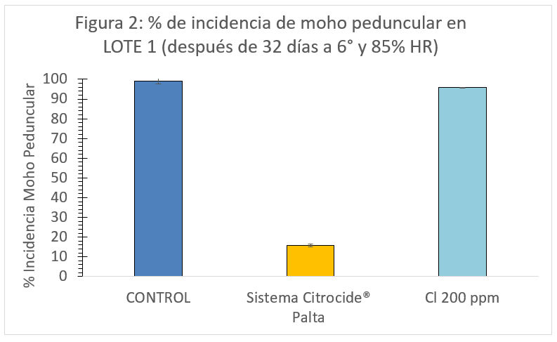 Los tratamientos con hipoclorito sódico a 200 ppm no fueron eficaces en el control del moho peduncular (figura 2). /joseantonioarcos.es