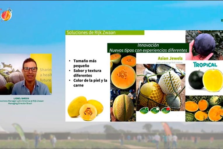 Rijk Zwaan en el mundo del melón y la sandía