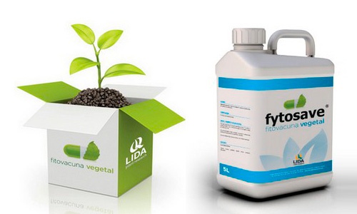 LIDA lanza la primera fitovacuna vegetal autorizada como producto fitosanitario de bajo riesgo por el M.A.P.A. /joseantonioarcos.es