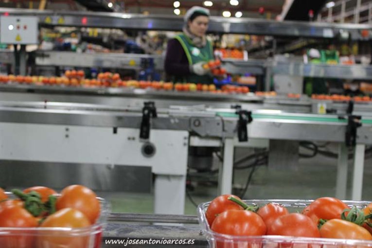 ¿Cómo los almacenes pueden gestionar 35.000 solicitudes de empleo cada campaña?