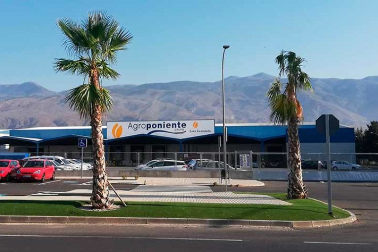 Agroponiente abre nueva nave en el paraje El Treinta de El Ejido