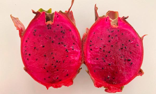 Fruto de pitahaya roja. /joseantonioarcos.es 