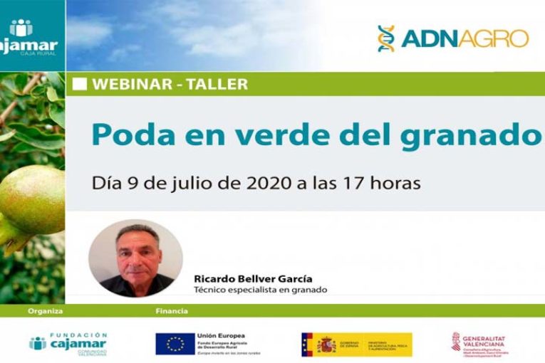 Día 9 de julio. Webinar 'Poda del granado'