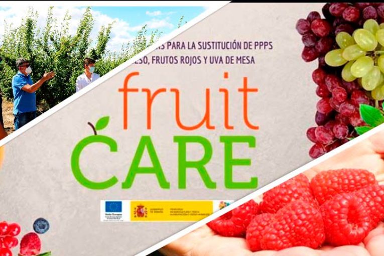 Berries, frutales y uva con mínimas materias activas. La ciencia busca alternativas
