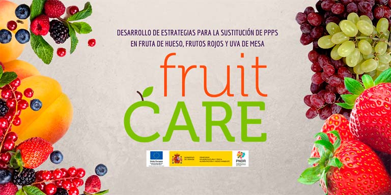 fruitCARE: “Sustitución de PPPs en fruta de hueso, frutos rojos y uva de mesa-joseantonioarcos.es