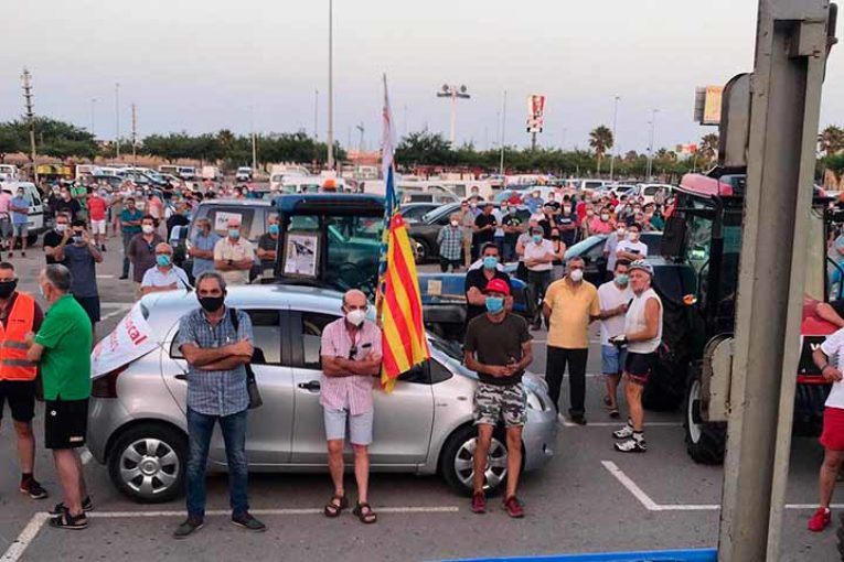 La importación de plagas saca al citricultor valenciano a la calle