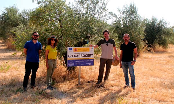 Ensayo en cultivo de olivo en proyecto CARBOCERT-joseantonioarcos.es