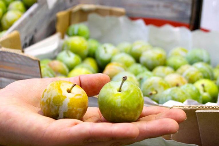 Mercabarna moverá este verano 260 millones de kilos de fruta de temporada