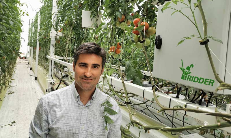 «Con el móvil el agricultor controla clima y riego en su invernadero»