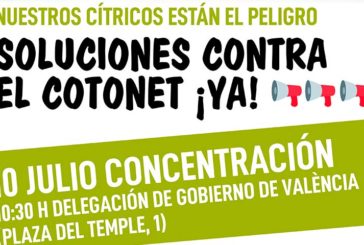 Asaja y La Unió protestan este viernes en Valencia por los daños del Cotonet