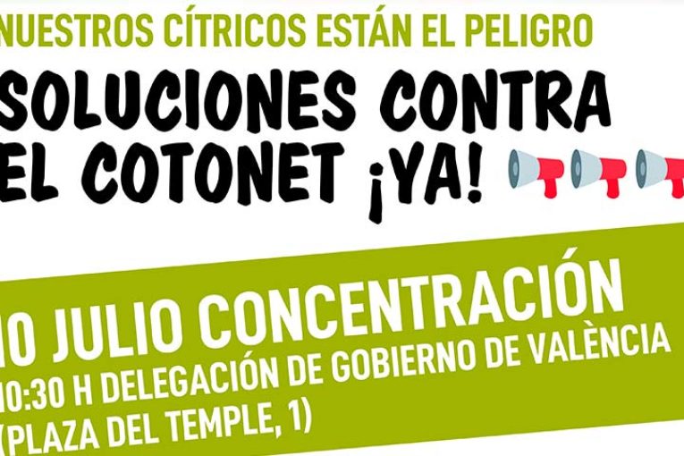 Asaja y La Unió protestan este viernes en Valencia por los daños del Cotonet