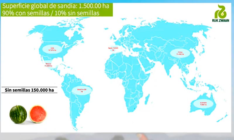 Superficie global de sandía. /joseantonioarcos.es
