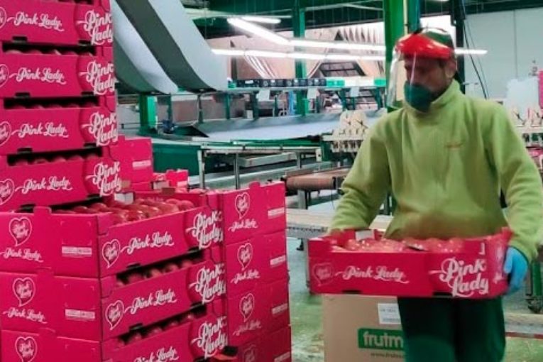 110 positivos por Covid sobre 3.500 trabajadores en centrales de fruta catalanas
