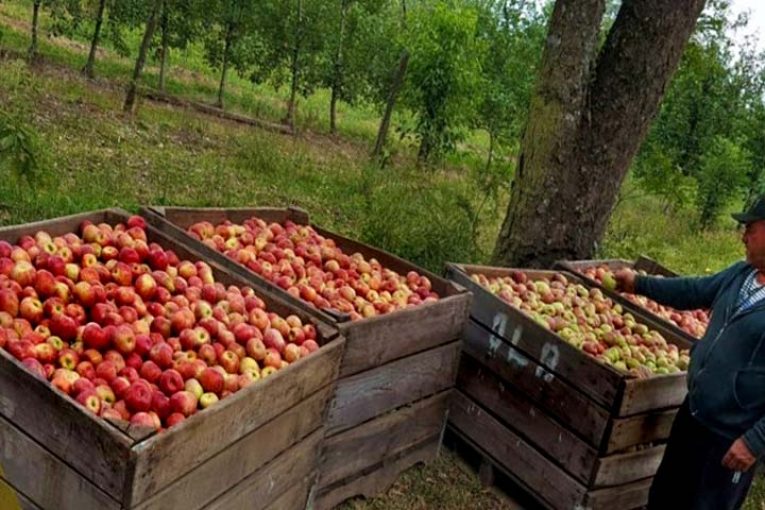 Tecnología almeriense de Ecoculture en la manzana de Brasil