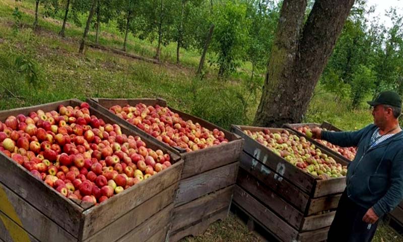 Tecnología almeriense de Ecoculture en la manzana de Brasil