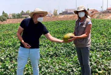 Un mismo melón para Almería, Murcia y La Mancha