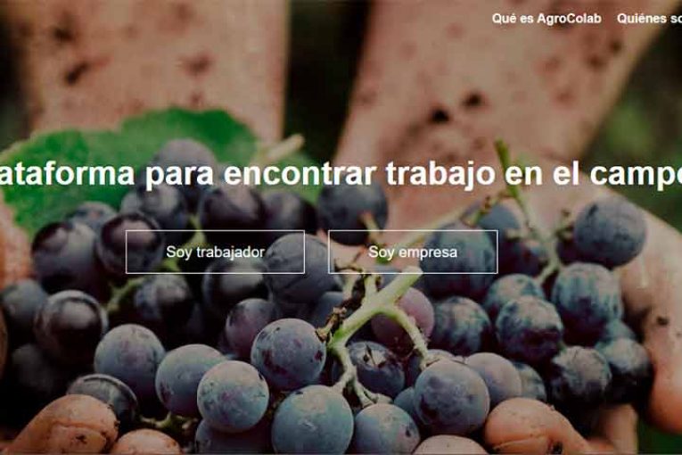 Una plataforma digital conecta temporeros y empresas atendiendo a su proximidad