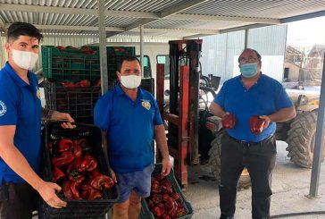 Agricultores almerienses donan hortalizas a los pobres