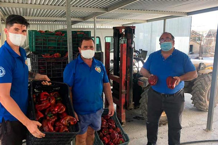 Agricultores almerienses donan hortalizas a los pobres