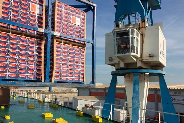Los citricultores españoles confían exportar a EEUU a partir de septiembre