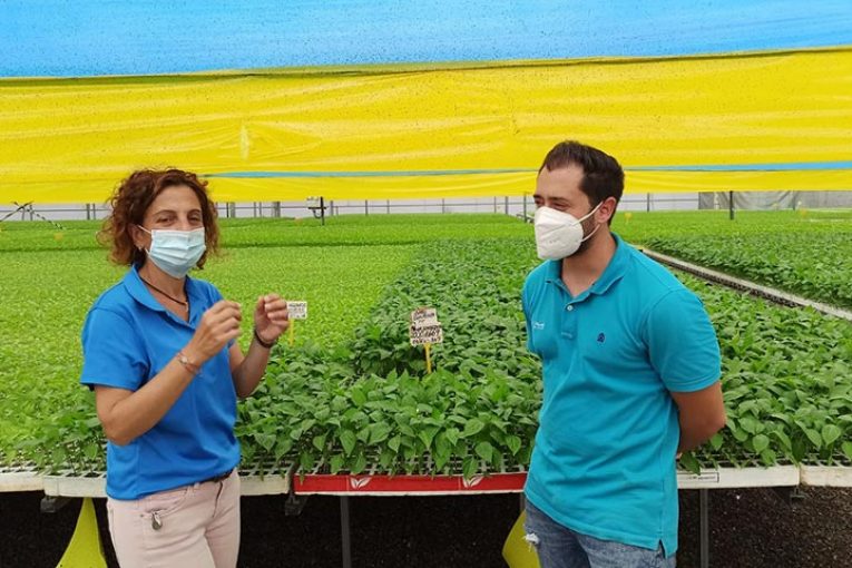 Lupión y Rodríguez mejora en El Plantel la crianza de planta con menos agua y sin fertilización