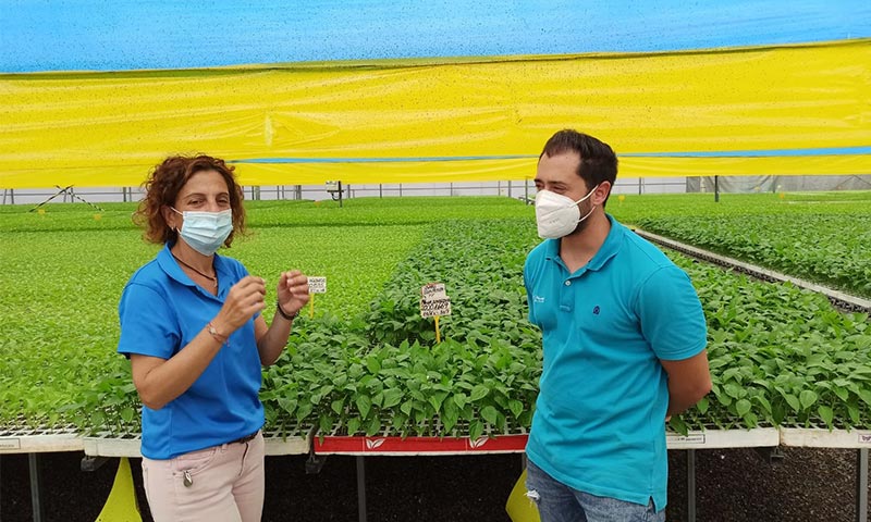Lupión y Rodríguez mejora en El Plantel la crianza de planta con menos agua y sin fertilización