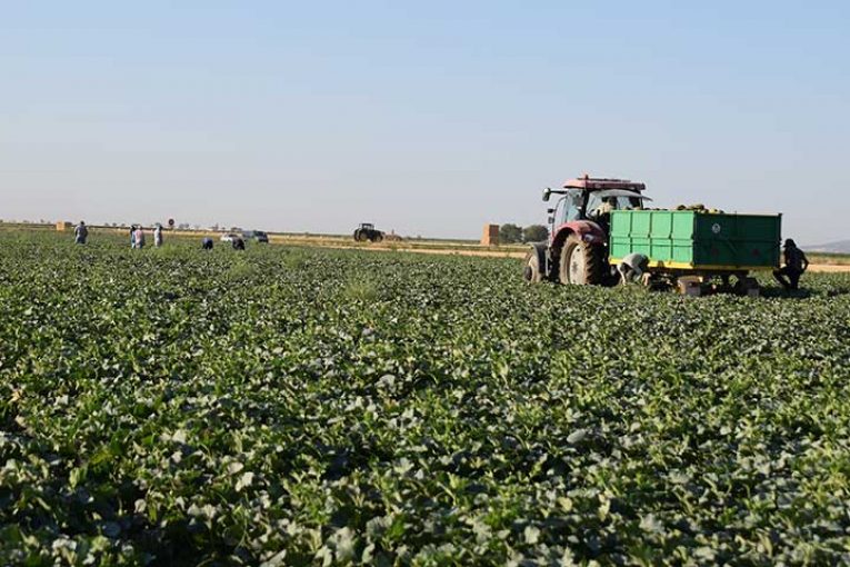 Ramiro Arnedo presenta en La Mancha su primer piel de sapo de aire libre