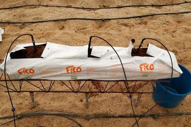 Reducción en las pérdidas de agua en drenaje
