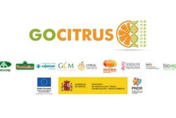 Día 8 de septiembre. Webinar GOCITRUS: Innovación en identificación y gestión varietal de cítricos