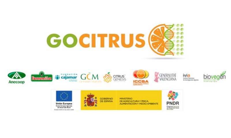 Día 8 de septiembre. Webinar GOCITRUS: Innovación en identificación y gestión varietal de cítricos