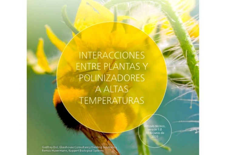 Polinización con calor. Recomendaciones técnicas