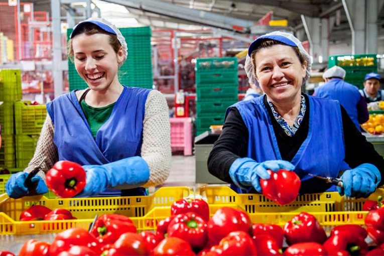 Pimiento y brócoli: dos bombas de vitamina C para consumir este verano