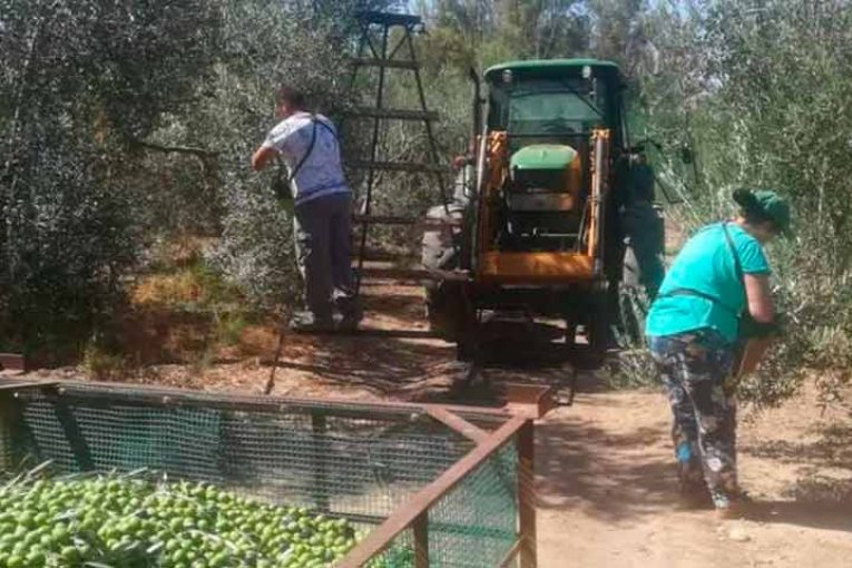 La Junta busca el consenso del sector para publicar su Orden antiCovid