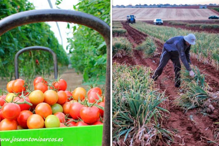 Del tomate al ajo. Unica Group presume de pizarra