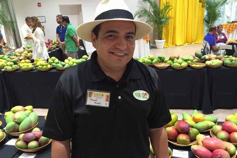 Expectativas a la exportación de mango a EEUU en la era Covid