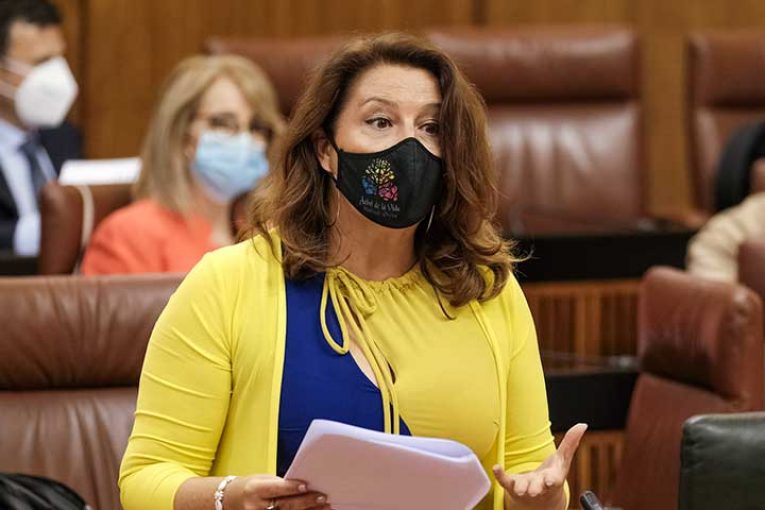Habrá test de Covid para los temporeros de la aceituna