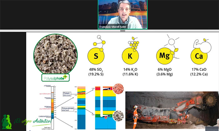 Composición del fertilizante Polysulphate: azufre, magnesio, potasio y calcio.