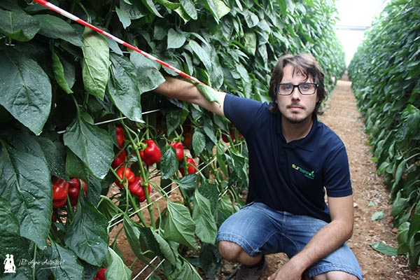 Daniel Martín es mejorador de Sur Seeds. /joseantonioarcos.es