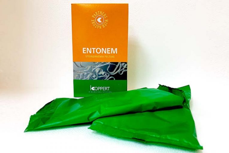 Los nematodos de Koppert, nueva formulación más soluble y 100% biodegradable