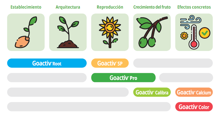 UPL Iberia ha desarrollado toda una gama Goactiv® con soluciones especializadas, biológicas y activadoras de la fisiología de la planta-joseantonioarcos.es