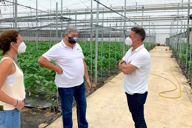 Koppert exhibirá sus innovaciones en la finca de Criado y López