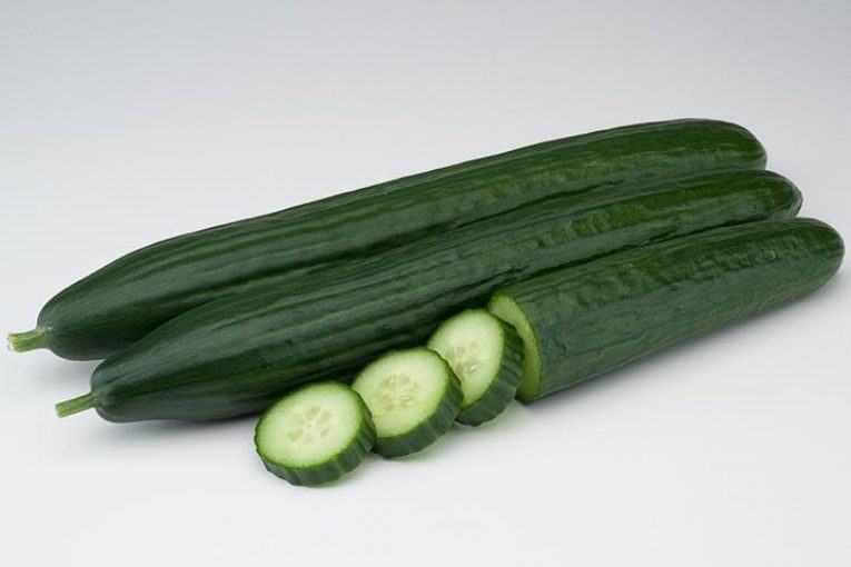 Basf presenta las variedades de pepino Remo y Sedal