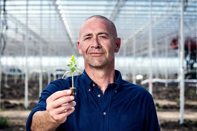 Ridder introduce HortOS: control en empresas hortícolas a gran escala