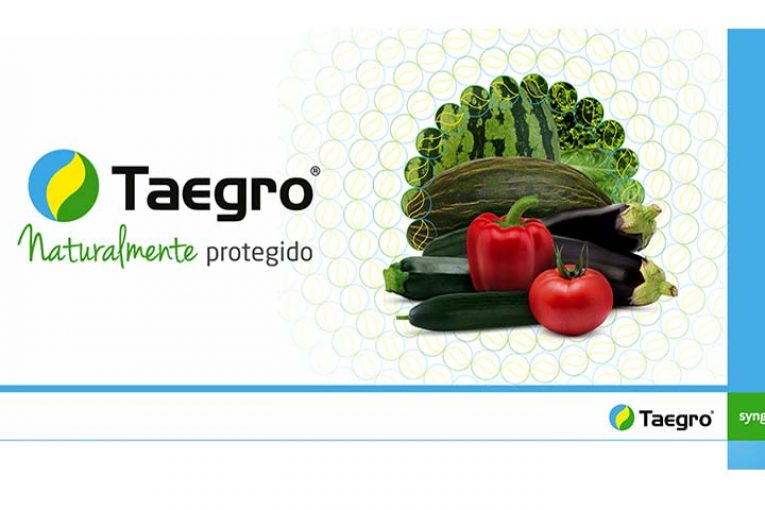 Nuevo biofungicida de amplio espectro para cultivos hortícolas