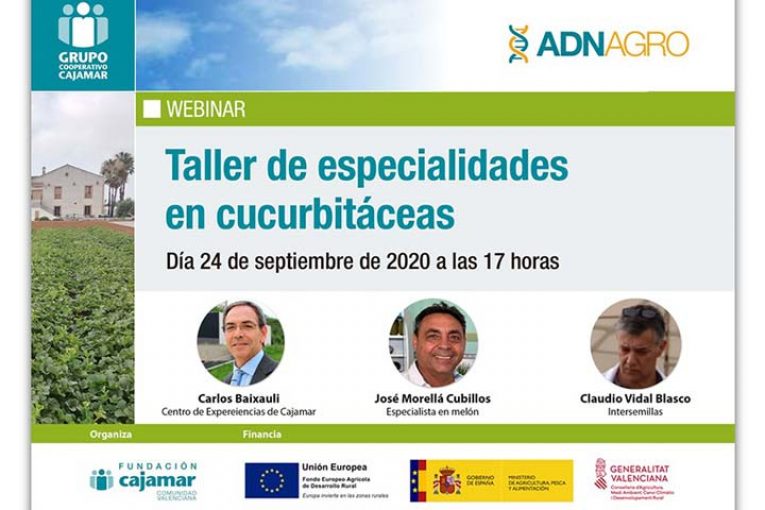 Día 24 de septiembre. Taller de especialidades en cucurbitáceas