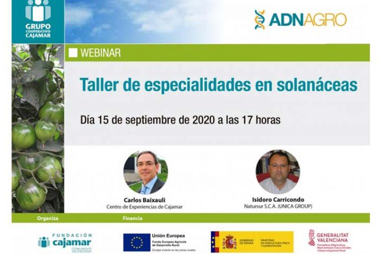 Día 15 de septiembre. Taller de especialidades en solanáceas