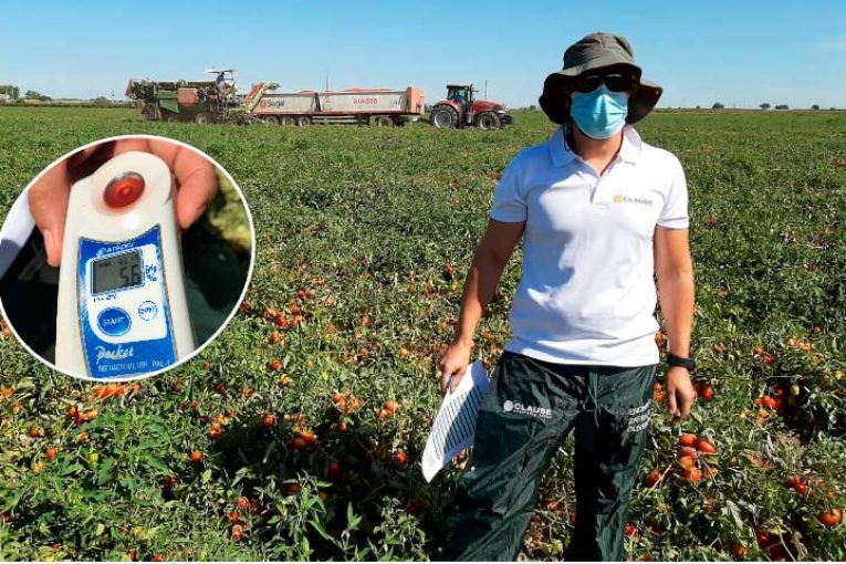 Resistencias y brix marcarán el futuro del tomate de industria